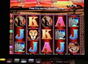 星空电竞app手机版