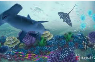 星空电竞app手机版